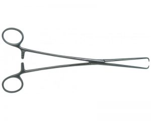 PINCE POZZY QUALITE BLOC